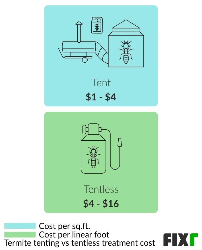 Termite Tent Cost