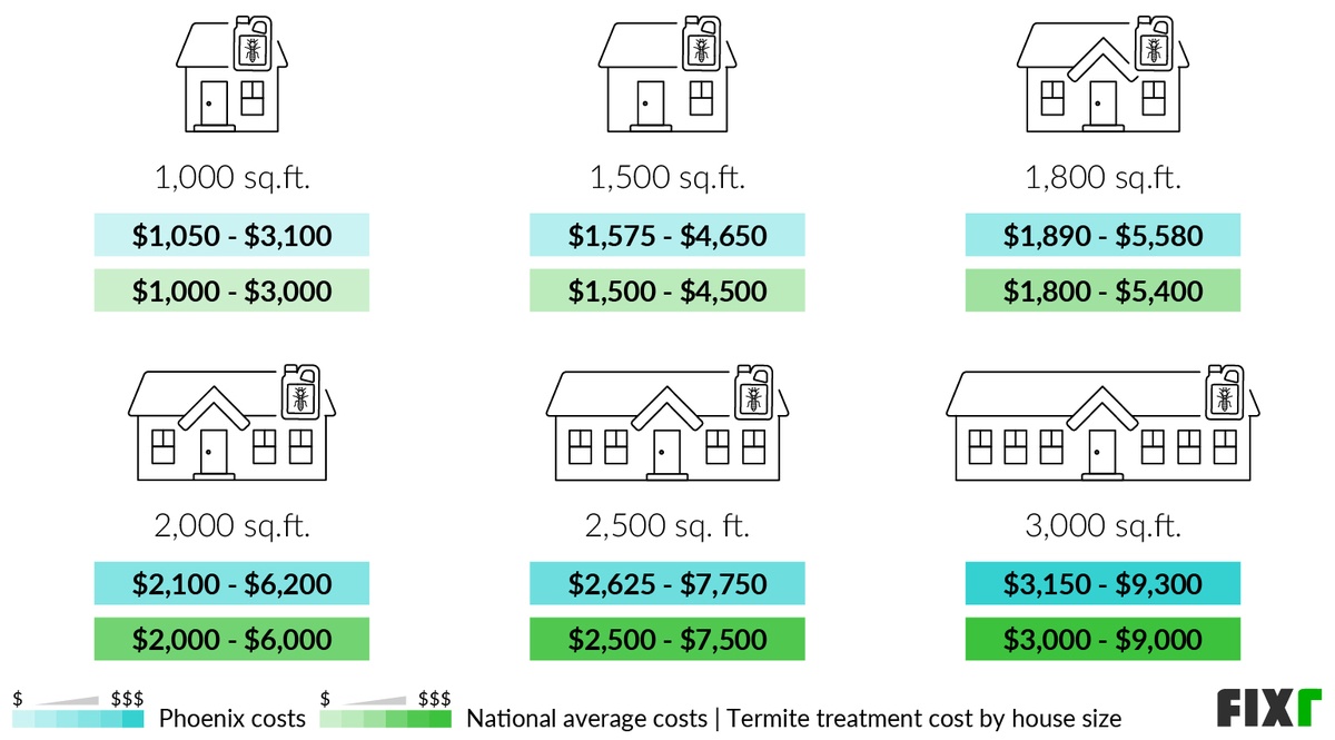 2022 Cost of Termite Treatment in Phoenix
