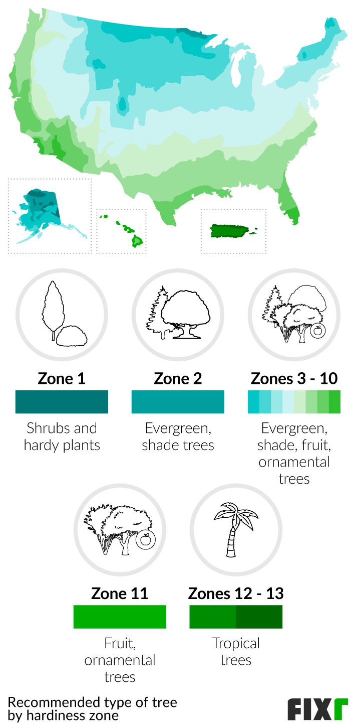 2022 Tree Planting Cost Average Price to Plant a Tree