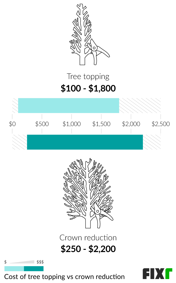 2022 Tree Pruning Cost Average Cost to Prune a Tree