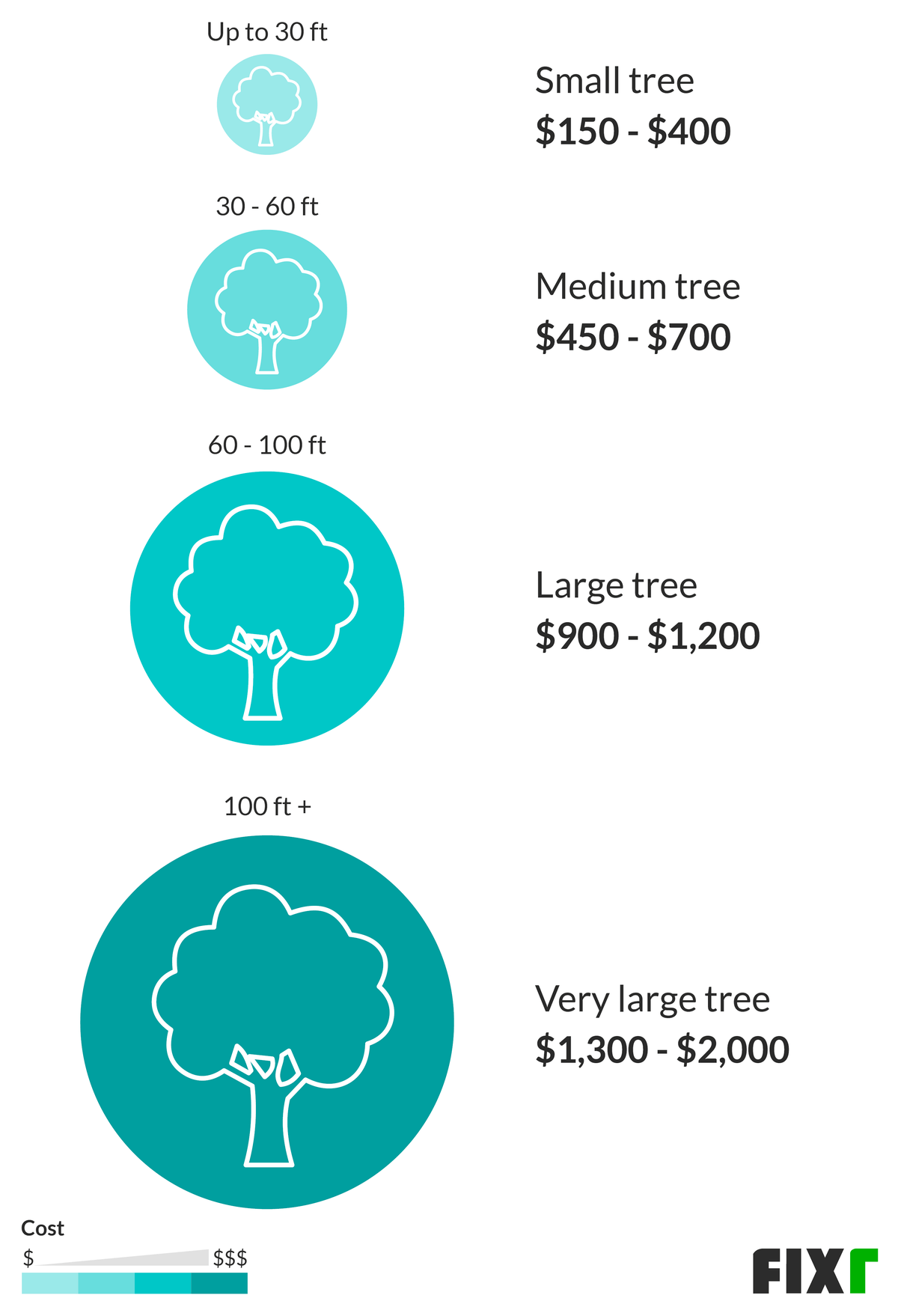 2020-tree-removal-cost-cost-to-cut-down-a-tree