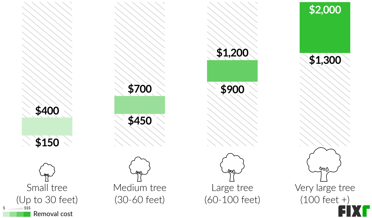 What Is The Average Cost Of Removing A Large Tree