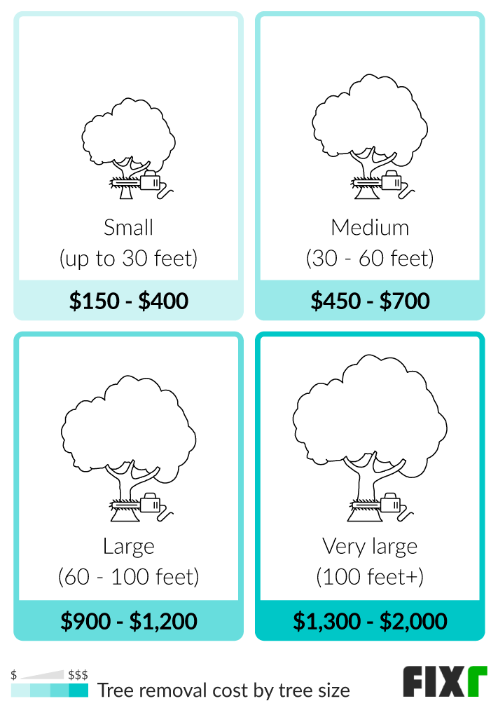 how to pay for tree removal