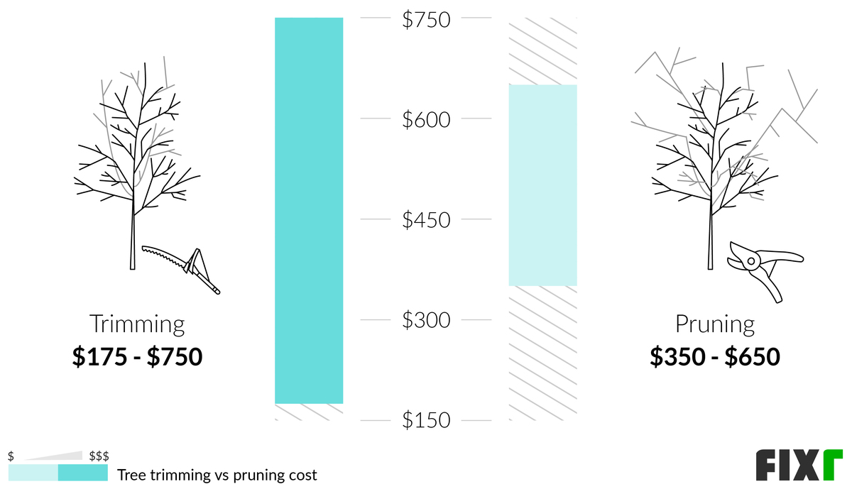 2022-tree-trimming-cost-average-price-for-tree-trimming