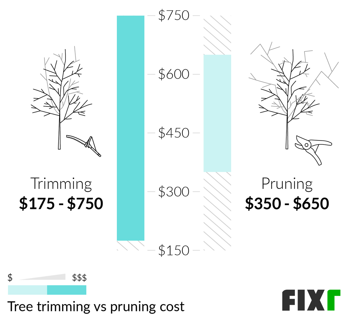 2022 Tree Trimming Cost Average Price for Tree Trimming