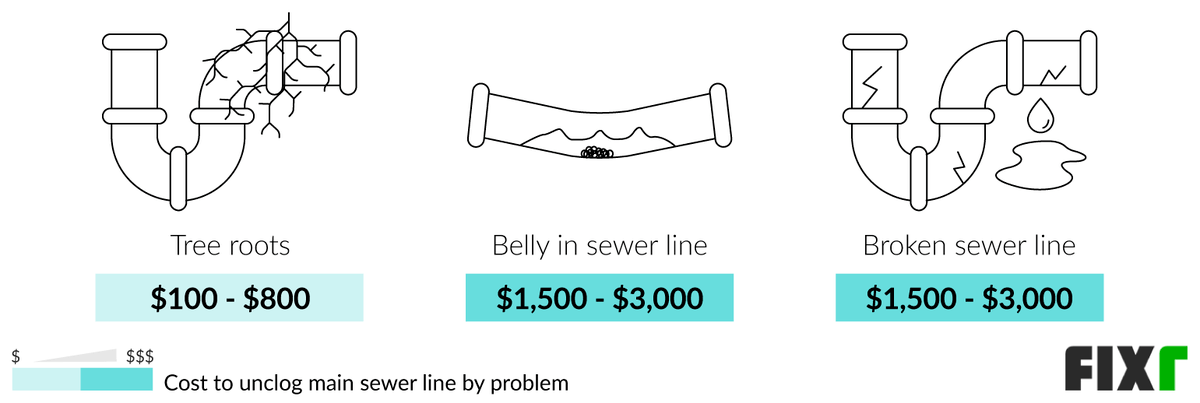 Cost to Unclog a Sewer Line That is Broken, Has a Belly, or Tree Roots