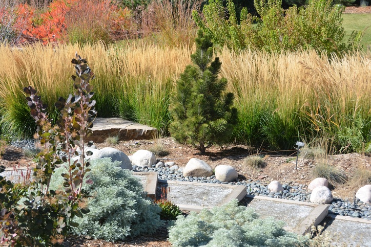 Cost of xeriscape landscaping