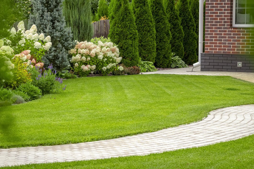 Freshly Cut Grass in the Backyard of a Private House