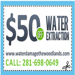 Water Damage Restoration The Woodlands TX