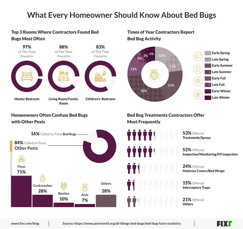 Everything You Need to Know About Bed Bugs in One Graphic