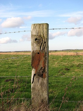 [Image: A_well-weathered_fence_post_-_geograph.o...666453.jpg]