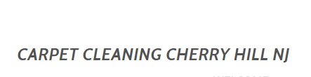 Carpet Cleaning 