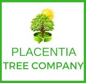 Tree service placentia, 24 hour emergency tree service placentia, tree removal placentia, tree cutting placentia
