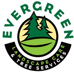 Tree Pruning, Tree Removal, Stump Grinding, Emergency Tree Service