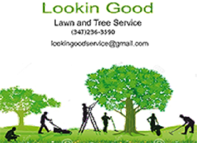 Tree Removal and Trimming