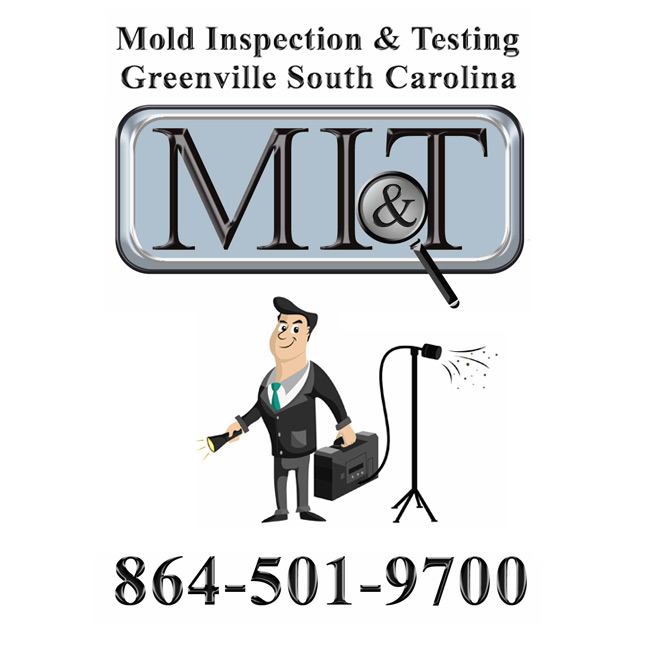 Mold Testing Specialists