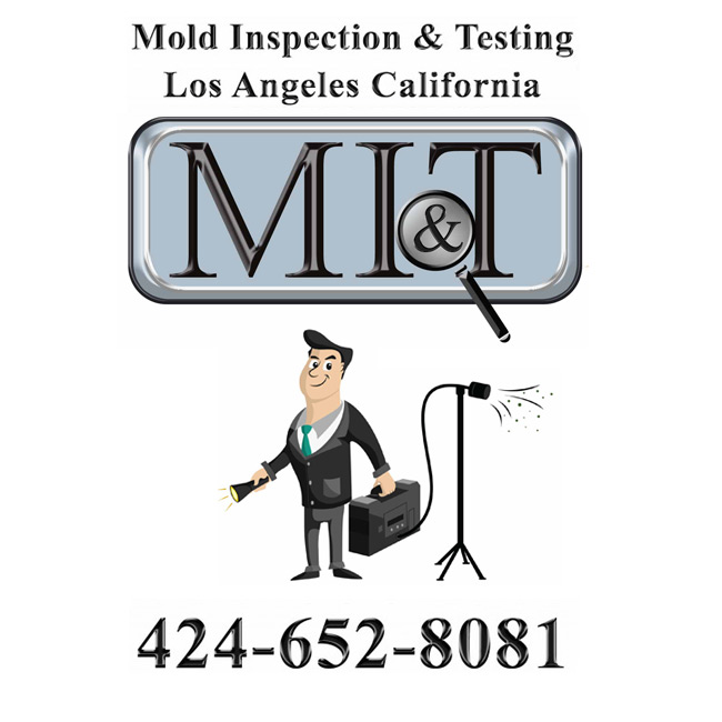 Home Mold Inspection