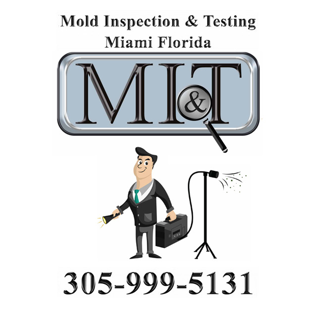 Mold Removal, Mold Remediation, Mold Inspection & Mold Testing Miami, Miami  Mold Remediation, Mold Remediation Miami, South Florida Mold Assessment,  Free Mold Inspection Miami, Mold Testing Miami, black mold testing miami,  Mold