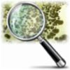 Mold Inspection