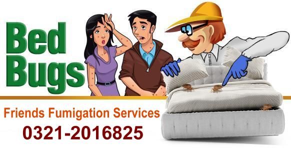 Fumigation Services in Karachi 03333219460 in Louisville