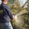 Emergency Tree Removal 