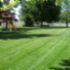 Quality Lawn and Landscape Services - Professional, Reliable, Outstanding