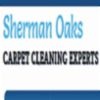 Carpet  and Upholstery Cleaning