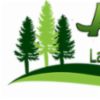 Landscaping, Lawn & Tree Care