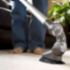 Carpet Cleaning