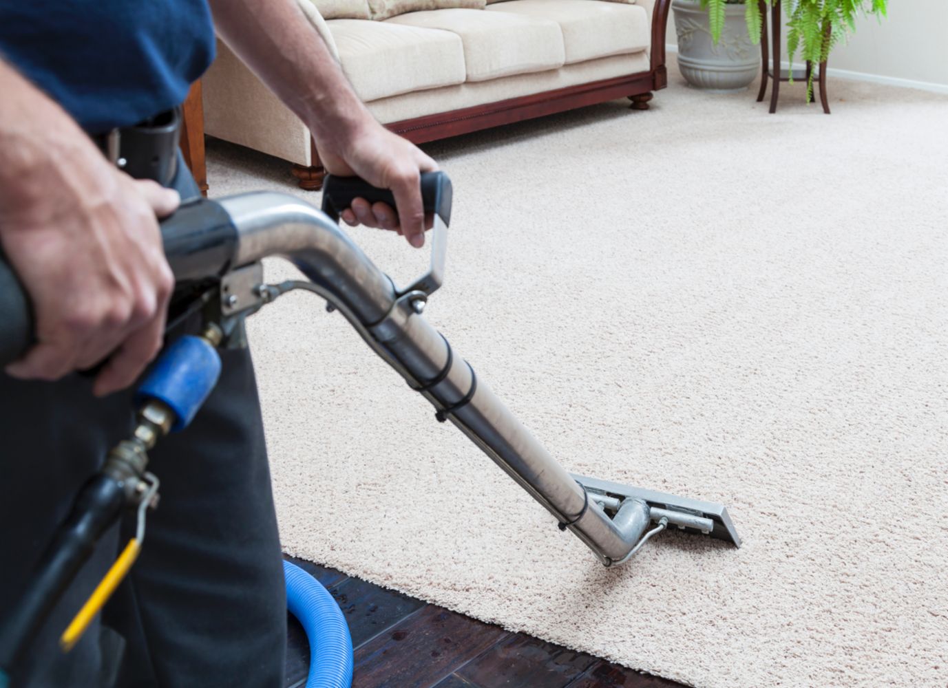 Carpet and Upholstery Cleaning in Valley Village, CA ...