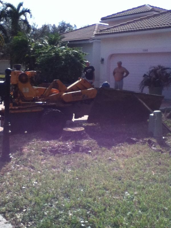 Tree removal newark ohio, Deerfield Beach FL