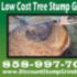 Affordable Stump Grinding Service