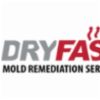 mold remediation