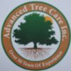 High- Quality Tree Care Experts
