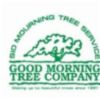 Licensed and Trusted Tree Care Services