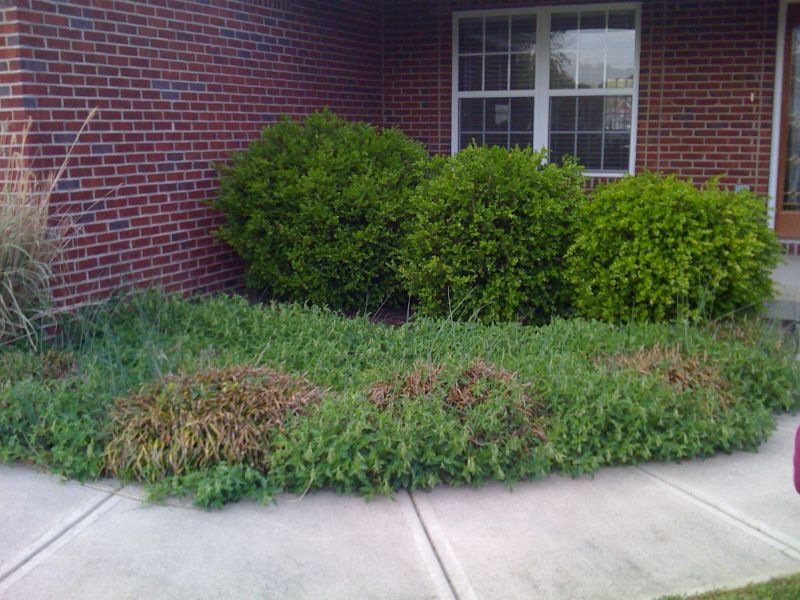 Lawn Care And Landscaping In Berea Ky Greenman Lawn Care And Landscaping In Berea Ky Greenman