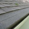 Gutter and Gutter Protection Experts