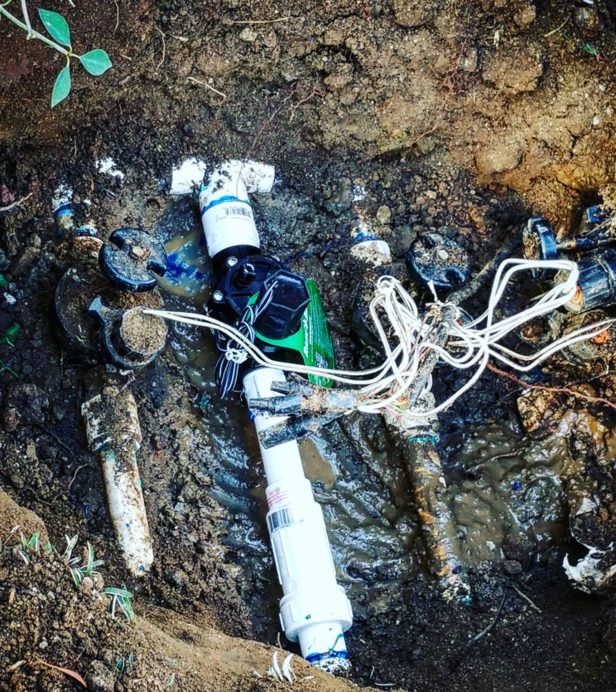 Lawn Care and Gardening in Costa Mesa, CA - Linares Landscape