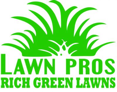 Artificial Grass & Turf in Colorado Springs, CO - Lawn Pros