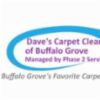 carpet cleaning buffalo grove
