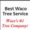 Tree Removal and Trimming