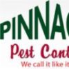 Rodent Extermination and Termite Damage Repair