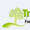 Tree Trimming and Removal