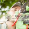 Tree Disease Treatment