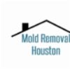Professional Mold Removal and Remediation