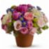 Florist & Flower Arrangement