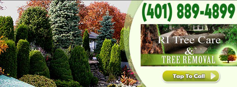Tree Trimming and Removal in Warwick, RI - RI Tree Care