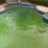 Top Rated Inground Pool Specialist