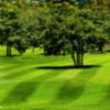 Mowing, Lawn Care & Turf Maintenance