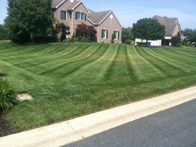 HighEnd Landscape Maintenance in Middletown, DE Top